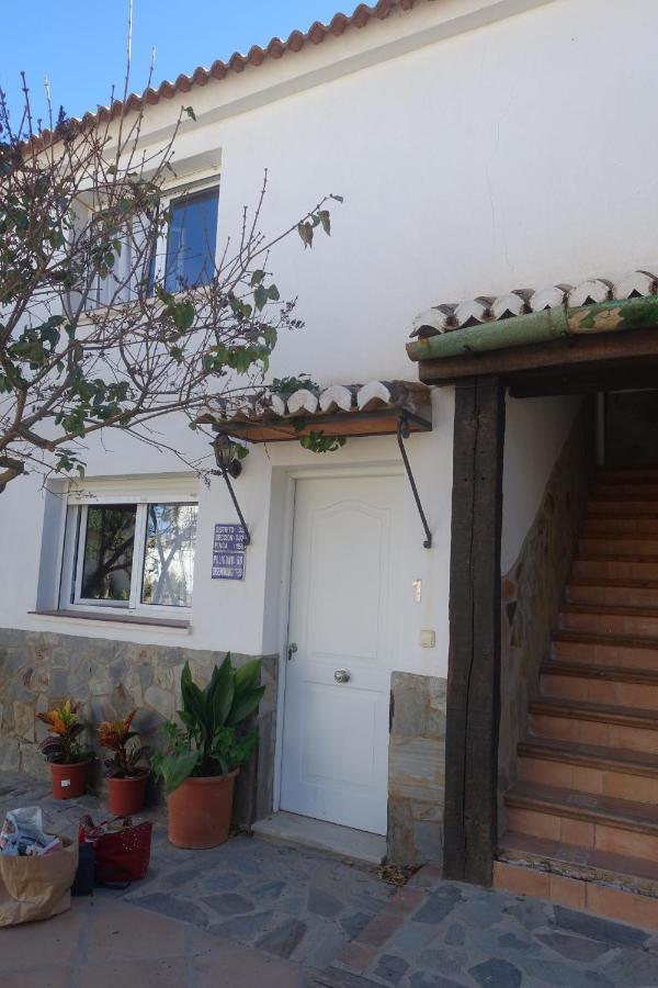 Galwey, Tourist Appartments With Wifi Málaga Exteriör bild