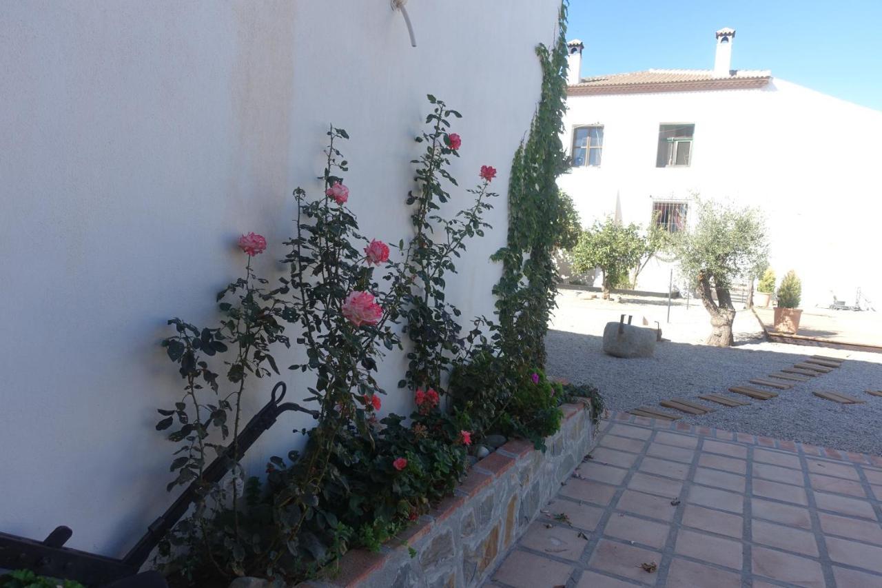 Galwey, Tourist Appartments With Wifi Málaga Exteriör bild