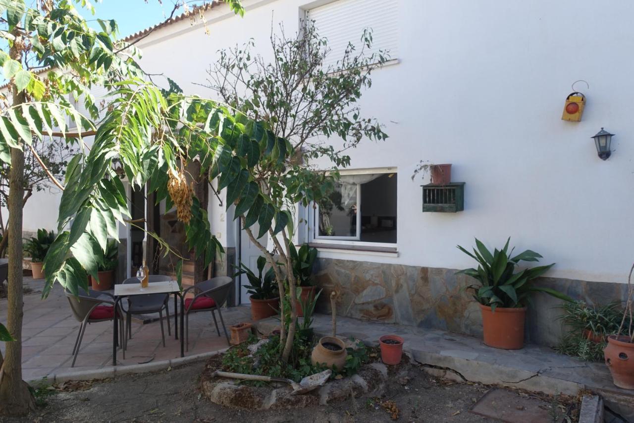 Galwey, Tourist Appartments With Wifi Málaga Exteriör bild